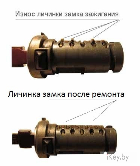 Личинка замка