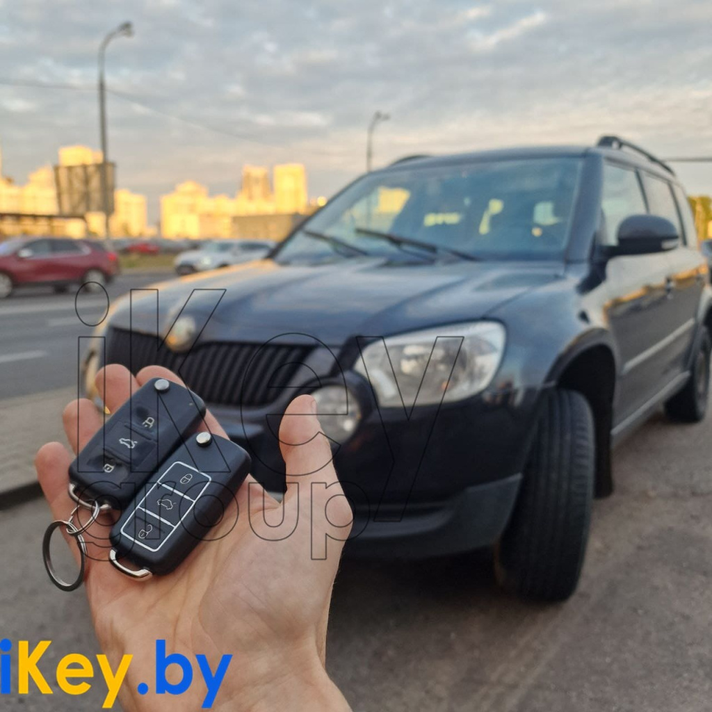 шкода йет.jpg