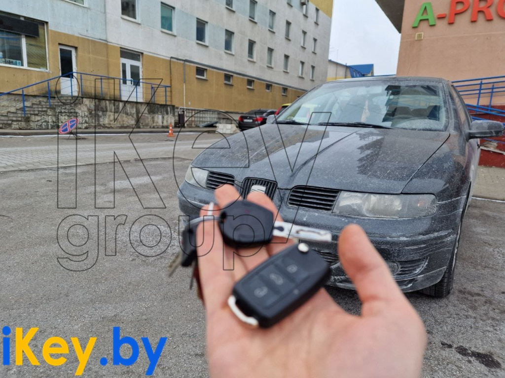 сеатлеон.jpg
