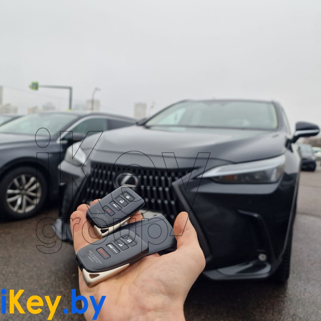 Ключ Лексус НХ 2023 привязка дубликата 1.jpg