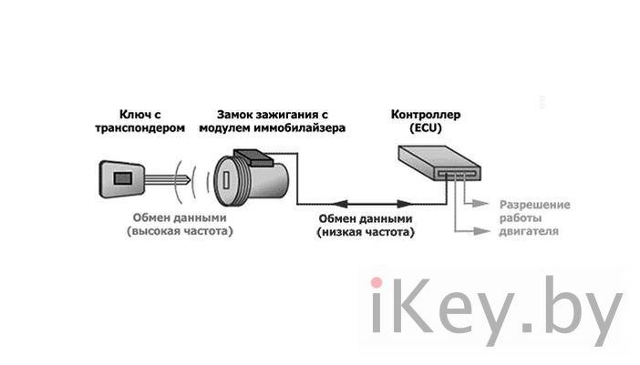 чип иммобилайзера купить в минске