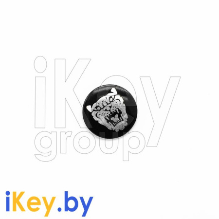 Логотип для ключа Ягуар купить в Минске